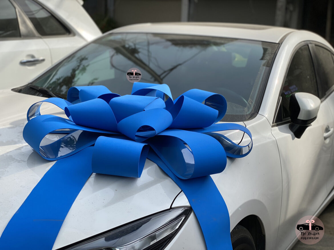 Nơ Xe Hơi đẹp xanh