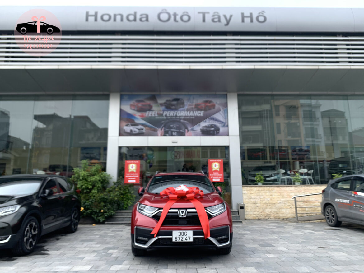 nơ trang trí xe ô tô honda tây hồ
