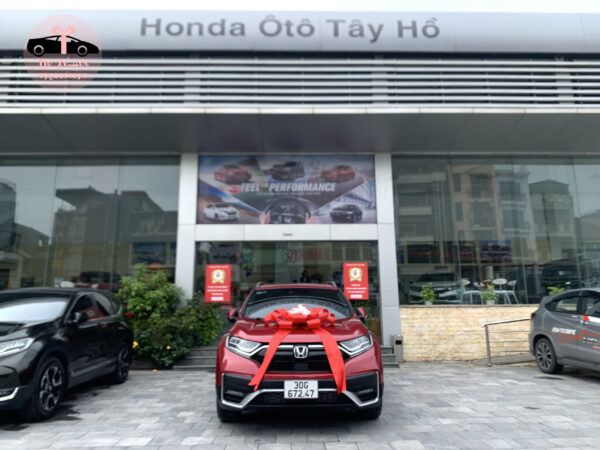 nơ trang trí xe ô tô honda tây hồ