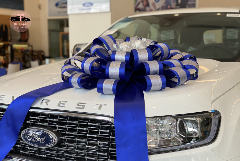 Nơ giao xe ô tô ford xanh dương họa tiết bạc