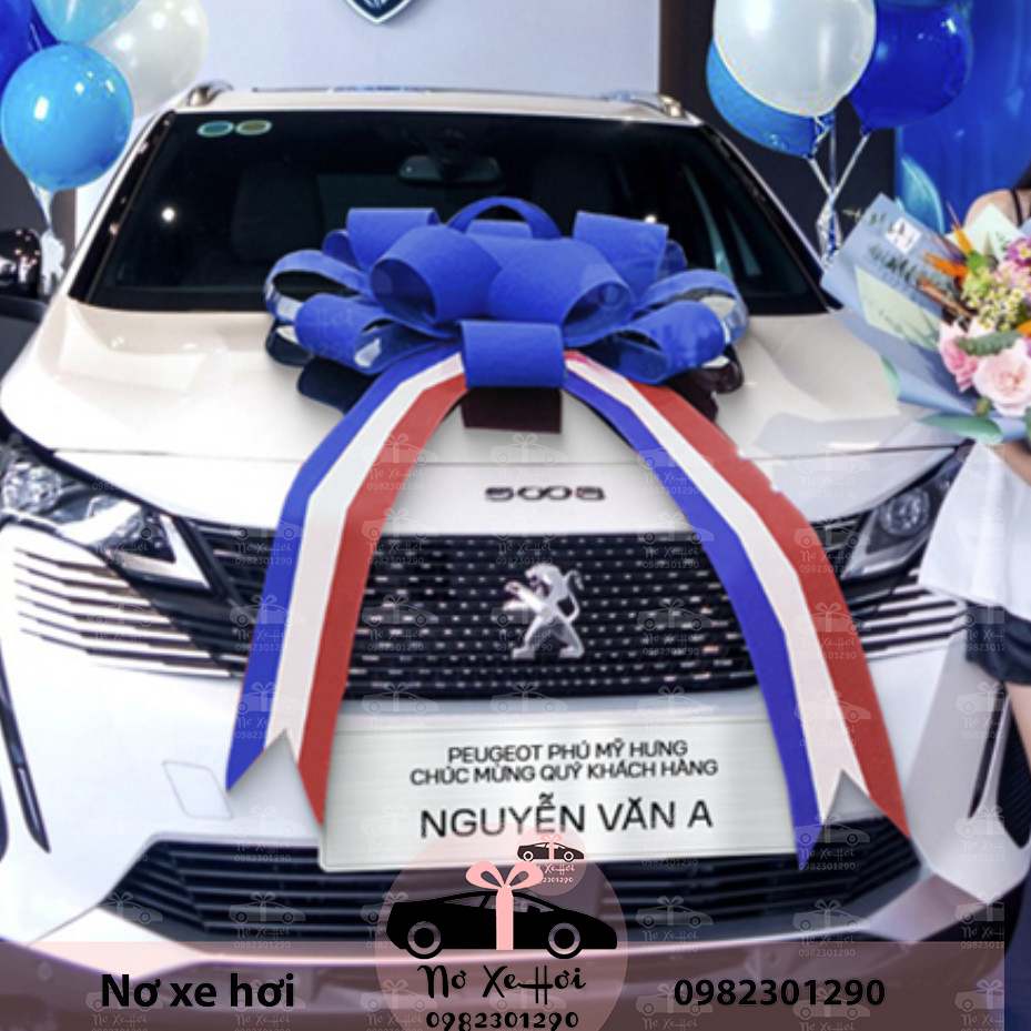Nơ Xe Hơi Peugeot
